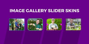 Divi Image Gallery Slider Skins